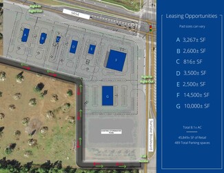 Plus de détails pour SR 54  & Sunlake Blvd, Lutz, FL - Terrain à louer