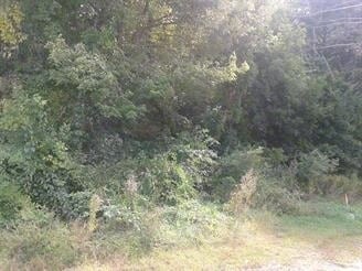 W Thompson Rd & Riverside Dr, Thompson, CT for sale - Primary Photo - Image 3 of 4