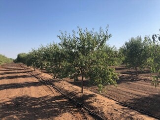 More details for 86.5 +- ac Organic Almonds Shaw Avenue Clovis Ca, Clovis, CA - Land for Sale