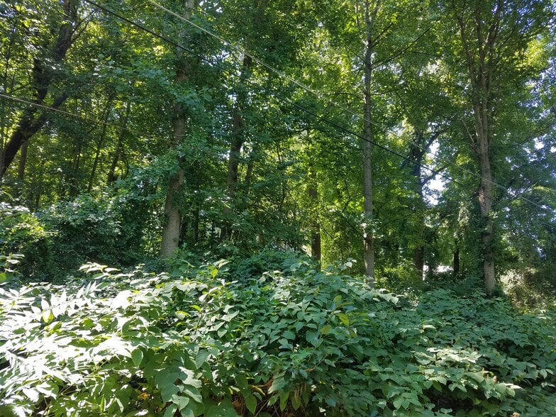 Old Palmer Road Rd, Fort Washington, MD à vendre - Photo principale - Image 2 de 11