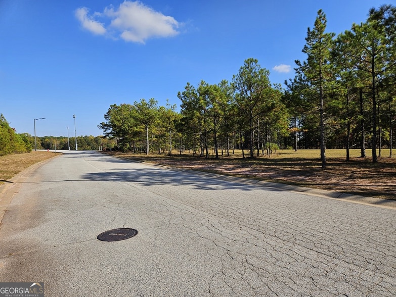 103 Redding Dr, Bremen, GA for sale - Building Photo - Image 3 of 4