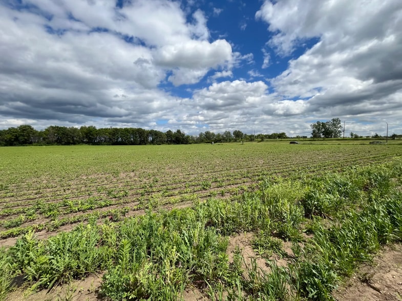 3690 Eagle Creek Blvd, Shakopee, MN for sale - Other - Image 3 of 5