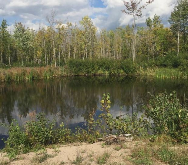 106 Constance Creek Dr, Ottawa, ON à vendre Photo principale- Image 1 de 1