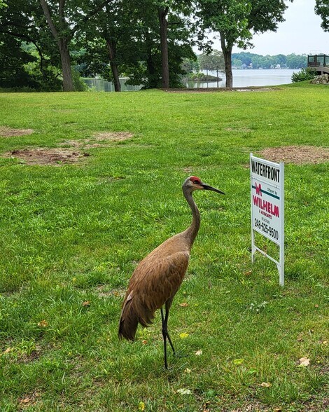 00 Blain Island Dr, Waterford, MI for sale - Building Photo - Image 1 of 10