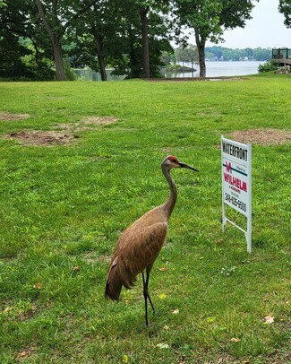 More details for 00 Blain Island Dr, Waterford, MI - Land for Sale