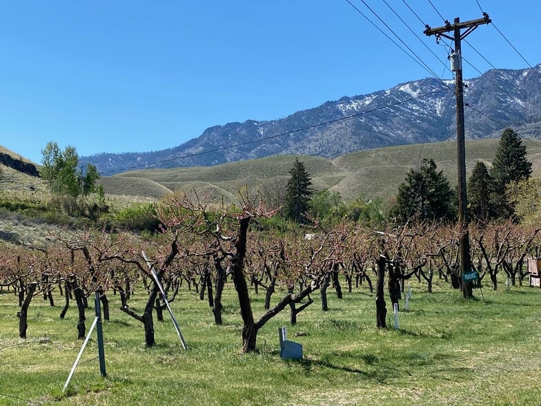 53 WA-153, Pateros, WA à vendre - Photo du bâtiment - Image 2 de 14