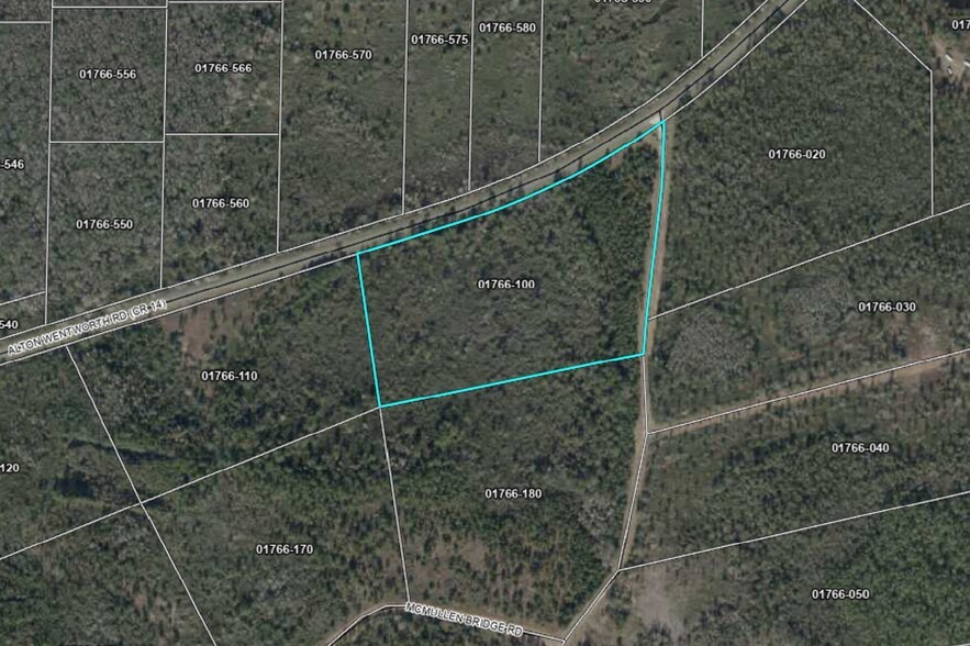 Alton Wentworth Rd, Greenville, FL for sale - Building Photo - Image 2 of 3