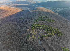 More details for 1150 Pleasant Grove Rd, Woodville, AL - Land for Sale