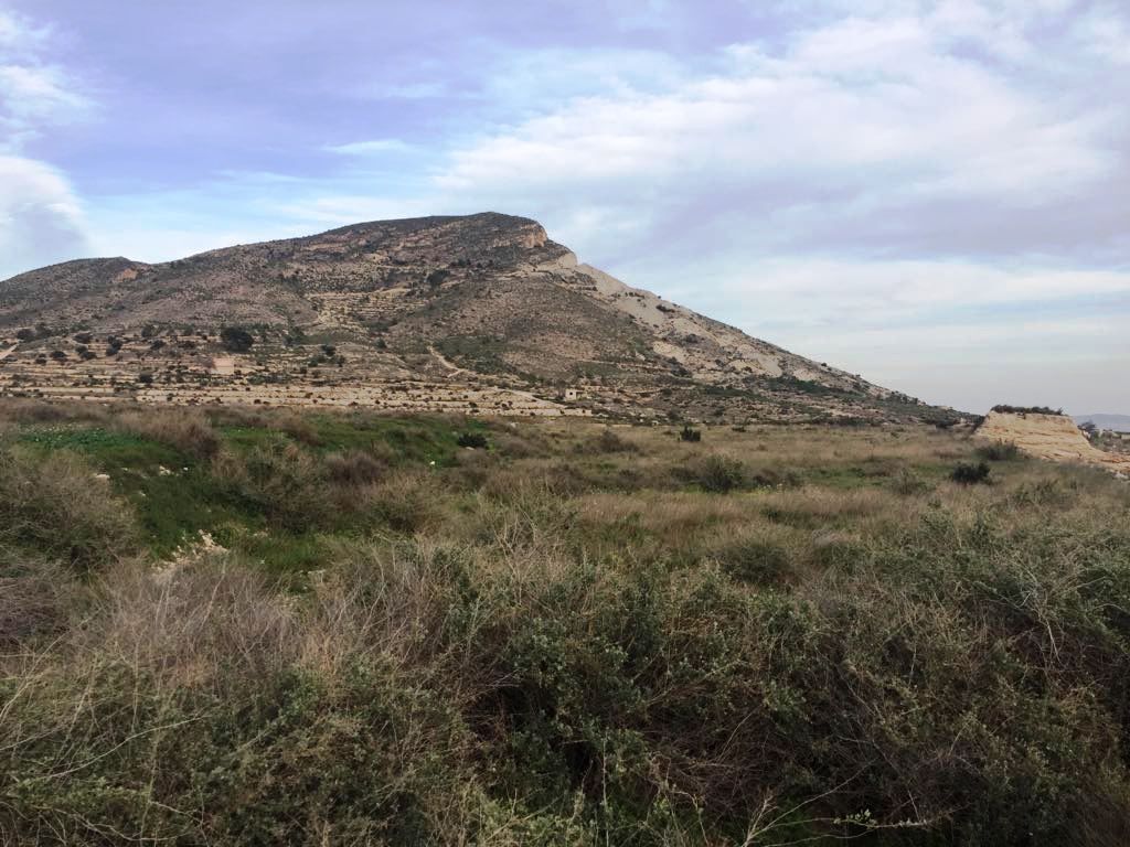 Land in Novelda, Alicante for sale Aerial- Image 1 of 6