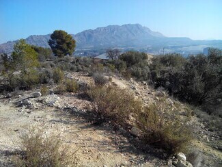 More details for Land for Sale