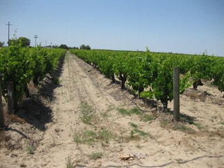 Plus de détails pour 2738 E Rose Ave, Fresno, CA - Terrain à vendre