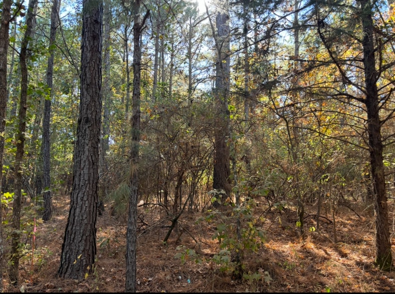 TBD County Road 4122 and Texas 43 hwy, Atlanta, TX for sale - Building Photo - Image 3 of 3