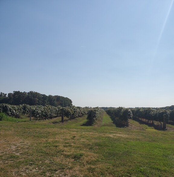 38738 County Road 374, Paw Paw, MI for sale - Building Photo - Image 3 of 9