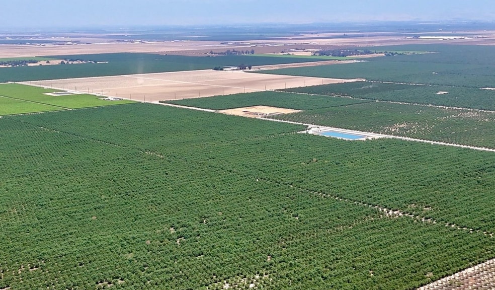 7498 Road 140, Earlimart, CA for sale - Primary Photo - Image 1 of 1