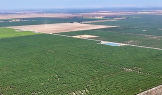 Plus de détails pour 7498 Road 140, Earlimart, CA - Terrain à vendre