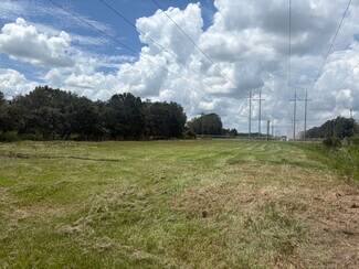 Plus de détails pour 2606 Cozart Rd, Mulberry, FL - Terrain à louer