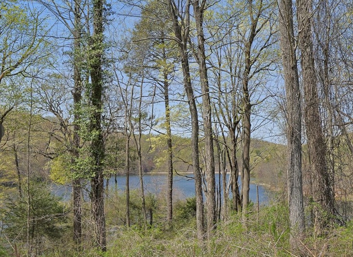 6 Wampus Lake Dr, Armonk, NY for sale - Other - Image 1 of 4