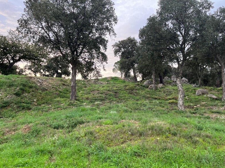 Carrer De La Roca, 20, Capmany, Gerona à vendre - Photo du bâtiment - Image 2 de 7