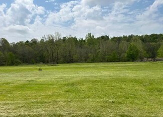 Plus de détails pour 115 Diner St, Darlington, PA - Terrain à louer