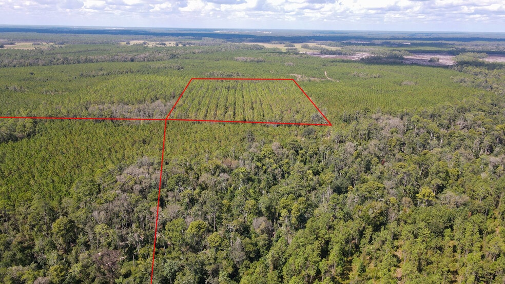 TBD NE 36th Drive Dr, Jasper, FL à vendre - Photo du bâtiment - Image 2 de 26