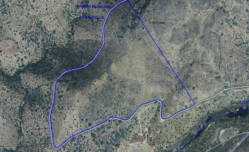 Land in Saucelle, Salamanca for sale - Primary Photo - Image 1 of 2