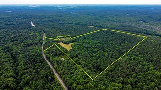 Plus de détails pour 8990 Rivertown Rd, Fairburn, GA - Terrain à vendre