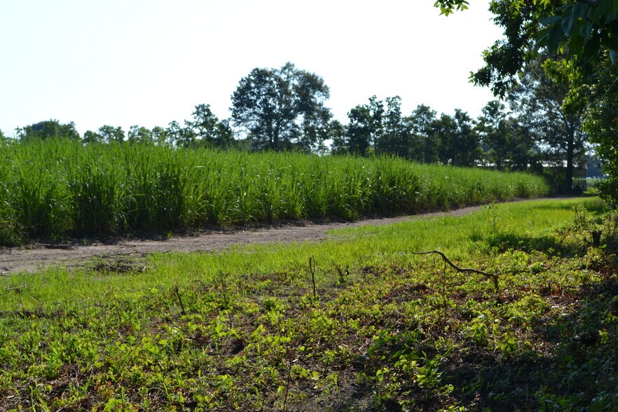 5818 N Freetown Rd, New Iberia, LA for sale - Other - Image 2 of 12
