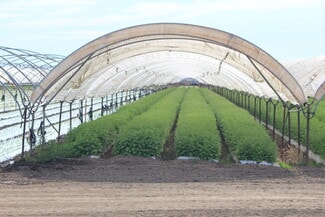 More details for 0 Wood Rd, Oxnard, CA - Land for Sale