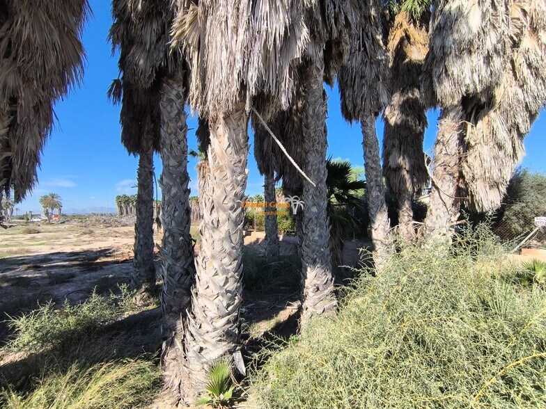 Land in Elche, Alicante for sale - Primary Photo - Image 2 of 7
