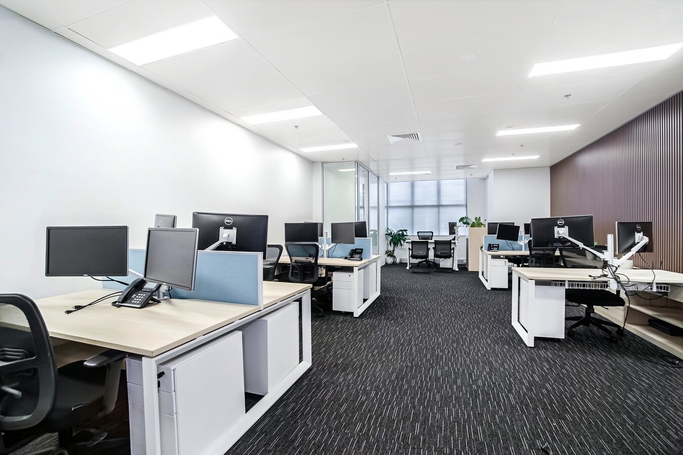 311-315 Castlereagh St, Haymarket, NSW 2000 - Unit 64 - - Interior Photo - Image 1 of 3