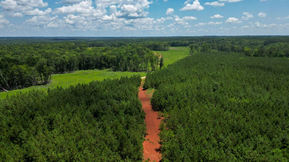 Muckaway Rd, Abbeville, SC à vendre - Photo principale - Image 1 de 12