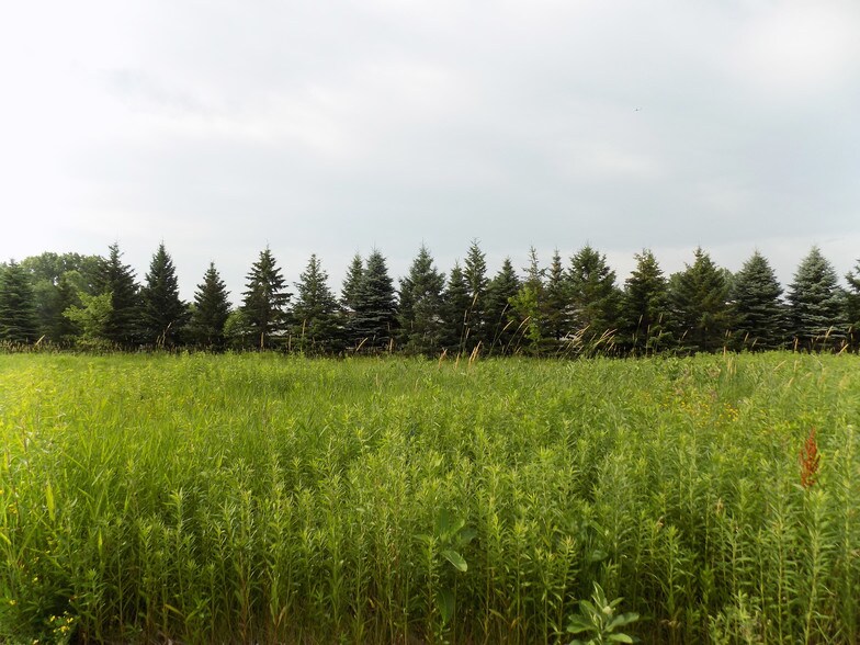 8X8 Meander Ct, Medina, MN à vendre - Photo du bâtiment - Image 3 de 5