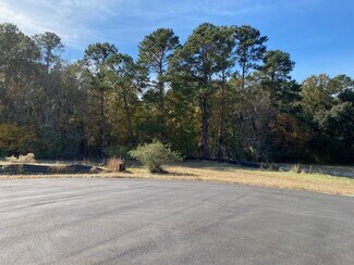 More details for 50 Wise Ct, Richmond Hill, GA - Land for Sale