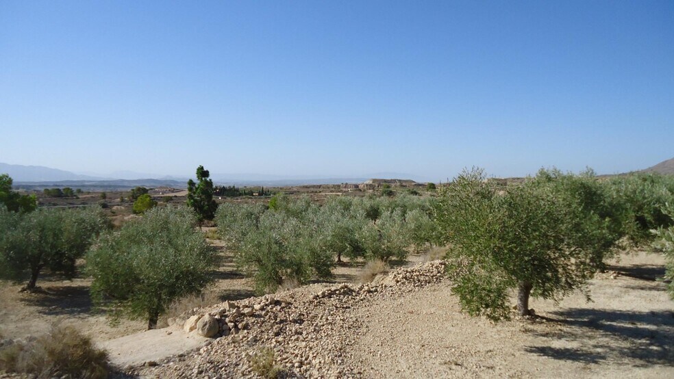 Terrain dans Abanilla, Murcia à vendre - Photo principale - Image 3 de 18