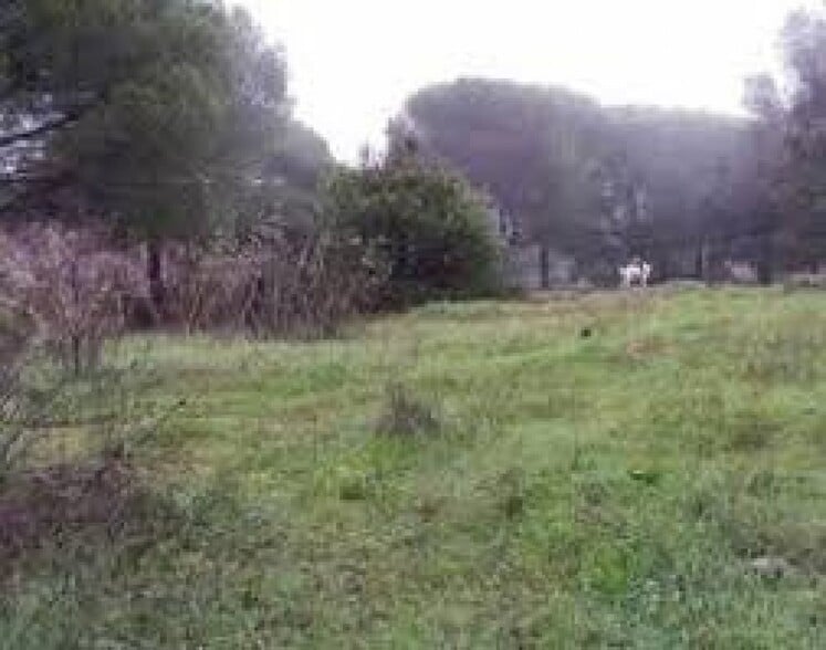 Land in Córdoba, Córdoba for sale - Primary Photo - Image 1 of 3