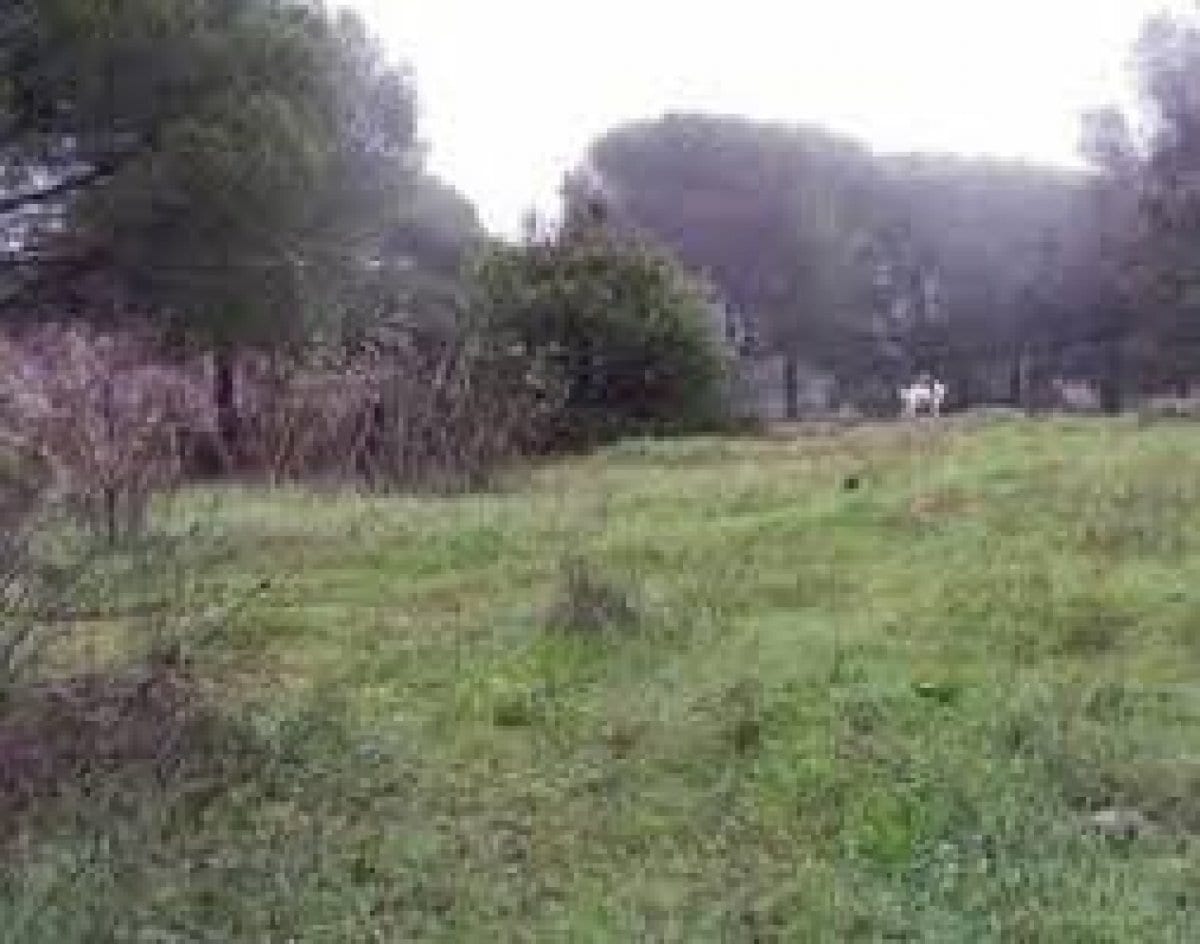 Land in Córdoba, Córdoba for sale Primary Photo- Image 1 of 4