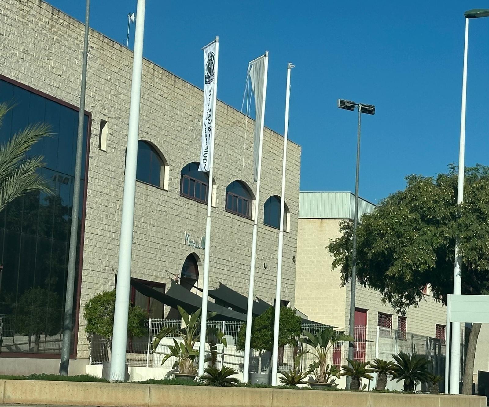 Industriel dans Elche, Alicante à louer Photo intérieure- Image 1 de 2
