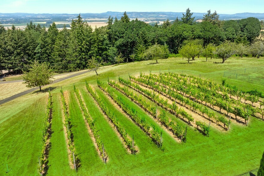 8580 SE Hillview Dr, Amity, OR for sale - Aerial - Image 2 of 48