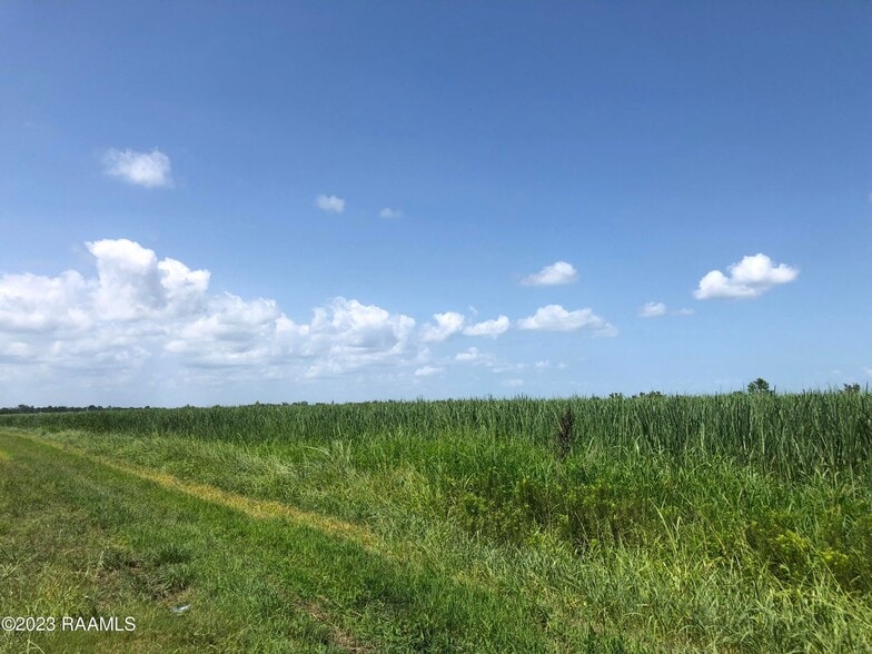 TBD Trahan Rd., New Iberia, LA à vendre - Autre - Image 3 de 21