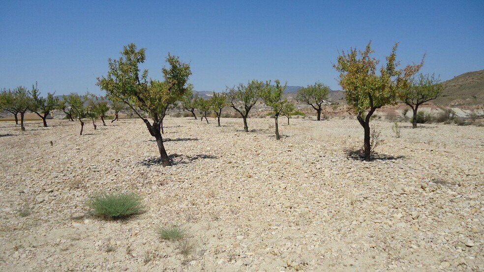 Terrain dans Abanilla, Murcia à vendre - Plan de site - Image 3 de 7