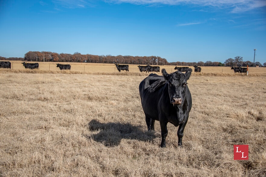 White Rose Rd, Thackerville, OK for sale - Building Photo - Image 2 of 17
