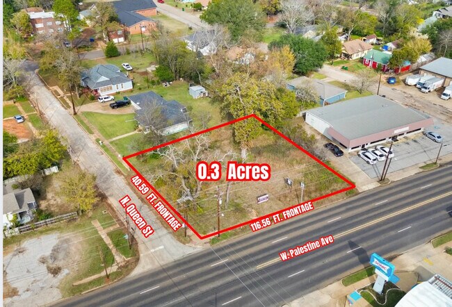Plus de détails pour 217 W Palestine Ave, Palestine, TX - Terrain à vendre