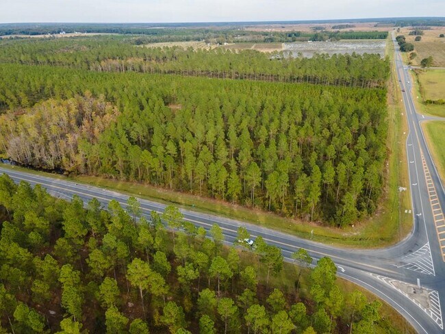 Plus de détails pour 8 Acres Hwy 221 hwy, Lakeland, GA - Terrain à vendre