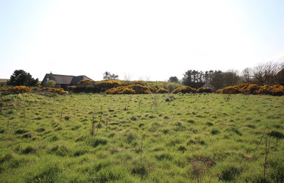 Cruden Bay, Hatton for sale Primary Photo- Image 1 of 2