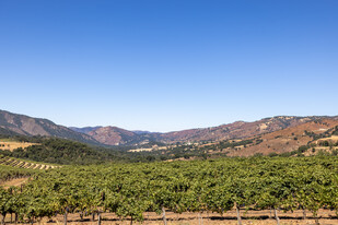 20300 Cachagua Rd, Carmel Valley CA - Vignoble