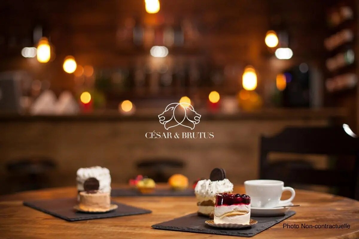 Commerce de détail dans Lyon à louer Photo intérieure- Image 1 de 2