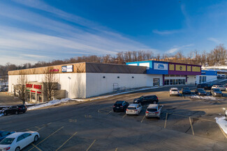 More details for 230 Rodi Rd, Pittsburgh, PA - Retail for Lease