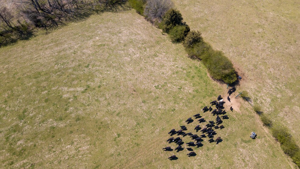 5690 Rocky Mount Church Rd, Polkton, NC à vendre - Autre - Image 2 de 30