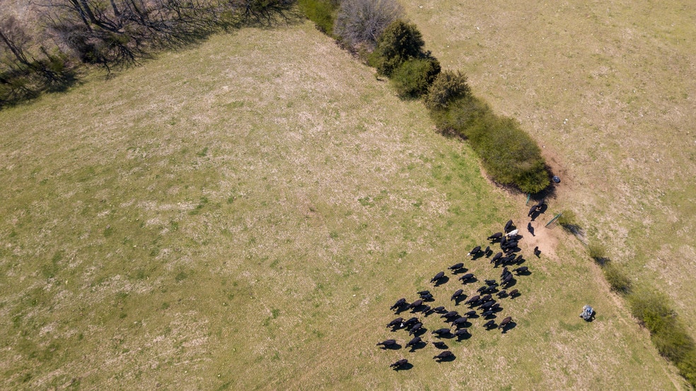 5690 Rocky Mount Church Rd, Polkton, NC for sale - Other - Image 2 of 30