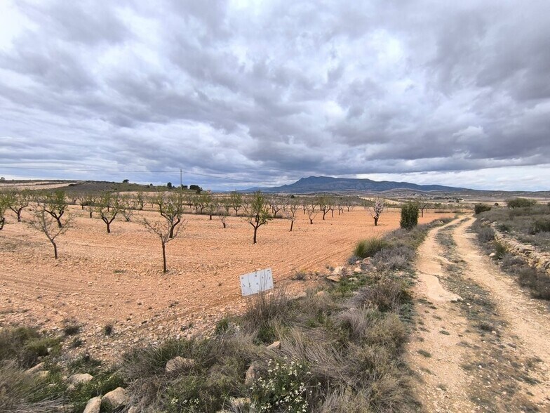 Terrain dans Yecla, Murcia à vendre - Aérien - Image 2 de 3